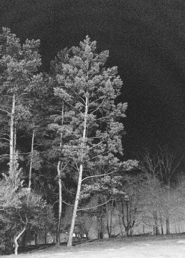 KOLLEG FÜR FOTOGRAFIE, Ortweinschule Graz