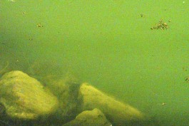 KOLLEG FÜR FOTOGRAFIE, Ortweinschule Graz