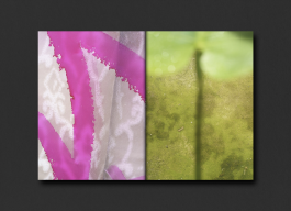 KOLLEG FÜR FOTOGRAFIE, Ortweinschule Graz