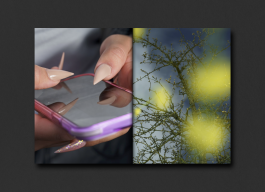 KOLLEG FÜR FOTOGRAFIE, Ortweinschule Graz