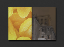 KOLLEG FÜR FOTOGRAFIE, Ortweinschule Graz