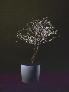 KOLLEG FÜR FOTOGRAFIE, Ortweinschule Graz